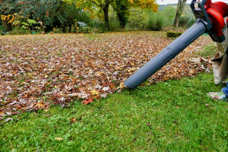 Fall Leaf Cleanup Tools
