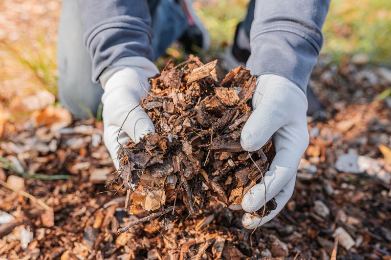 Leaves Being Mulched
