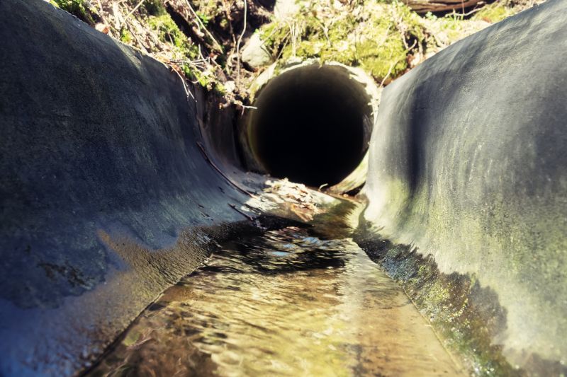 Budget-Smart Upgrades